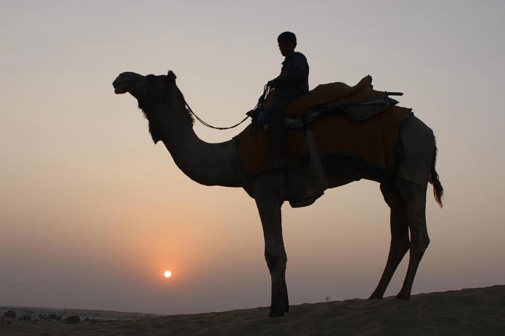 A person riding a camel during sunset in a desert, with the sky glowing orange and the sun near the horizon.