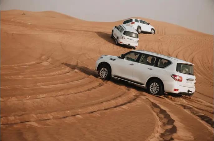 Desert safari in Dubai